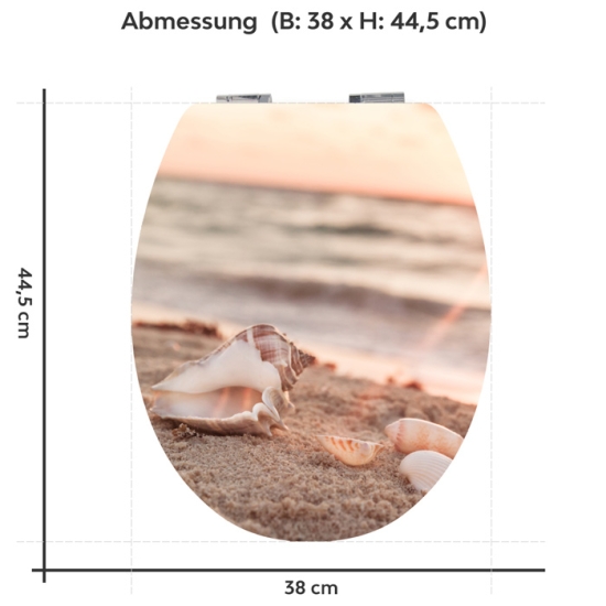 Mobile Preview: Wc-Deckel Aufkleber Seemuschel Variante 38 x 44 cm