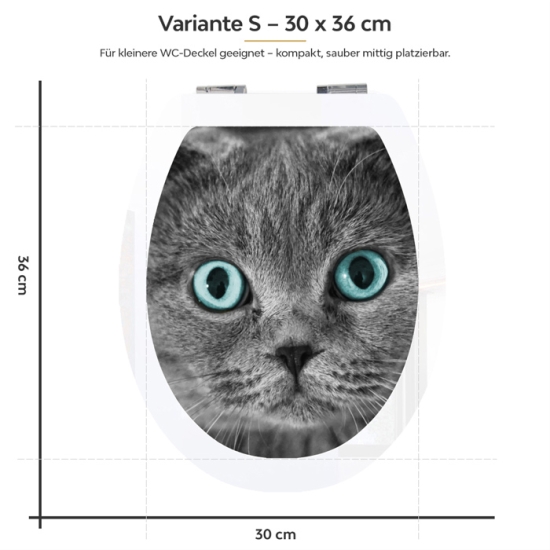 Mobile Preview: WC-Deckel Aufkleber graue Katze mit blauen Augen Variante 30 x 36 cm