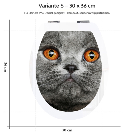 Mobile Preview: WC-Deckel Aufkleber graue Katze mit orangenen Augen Variante 30 x 36 cm